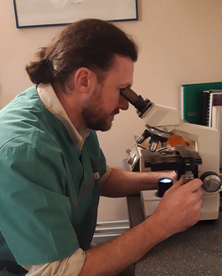 Le docteur Renuart regardant dans un microscope